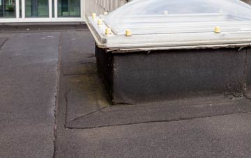 disadvantages of Earlsfield flat roofs